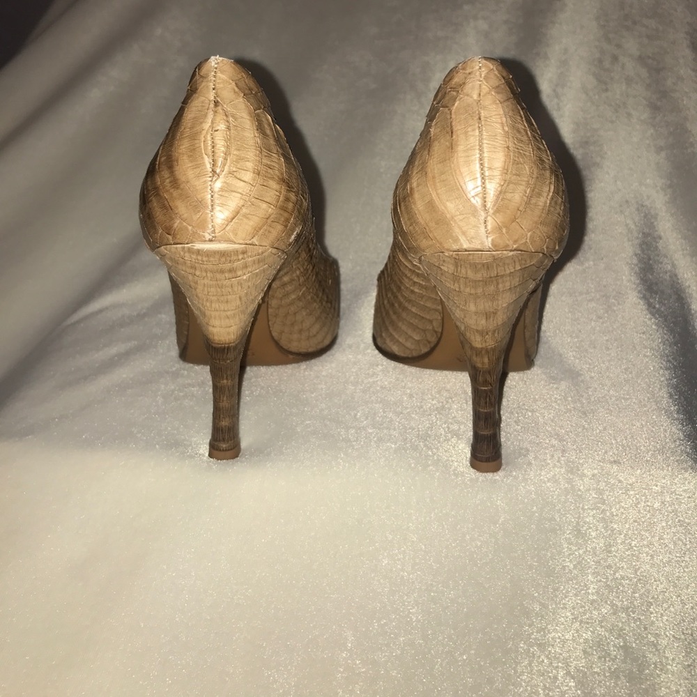 Prada Python Beige/Brown Pumps - image 6